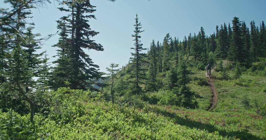 A person on a mountain bike rides down a dusty green alpine trail in the afternoon