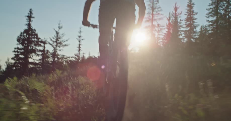 A person rides a bicycle through a dusty mountain meadow during sunset