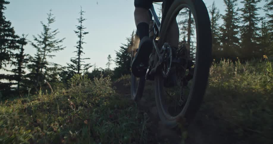 A mountain cyclist pedals through an alpine meadow as the sun filters through his wheels