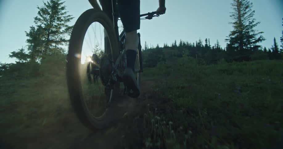 Sunlight flickers through the wheels as a mountain biker pedals up a steep trail