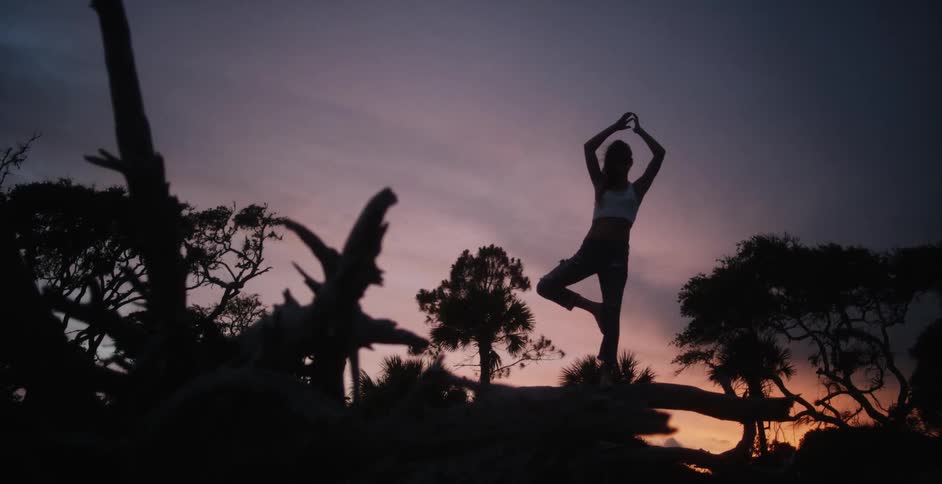 A woman does yoga on a tree after sunset