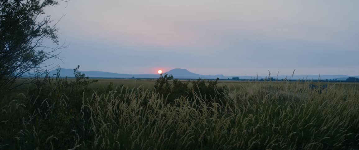 The sun sets over a wide open field