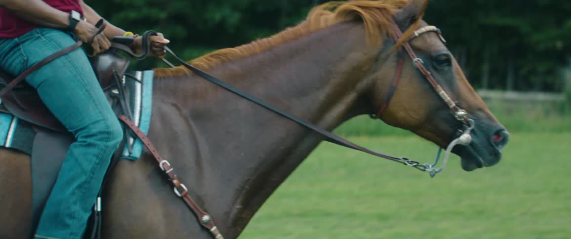 A woman riding a horse on a grassy field with trees the sky and clouds in the background