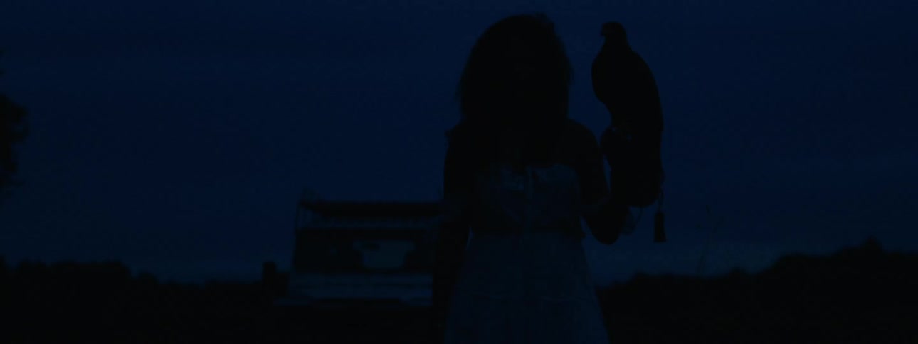 A silhouette of a woman holding a falcon with a vehicle the sky and clouds in the background