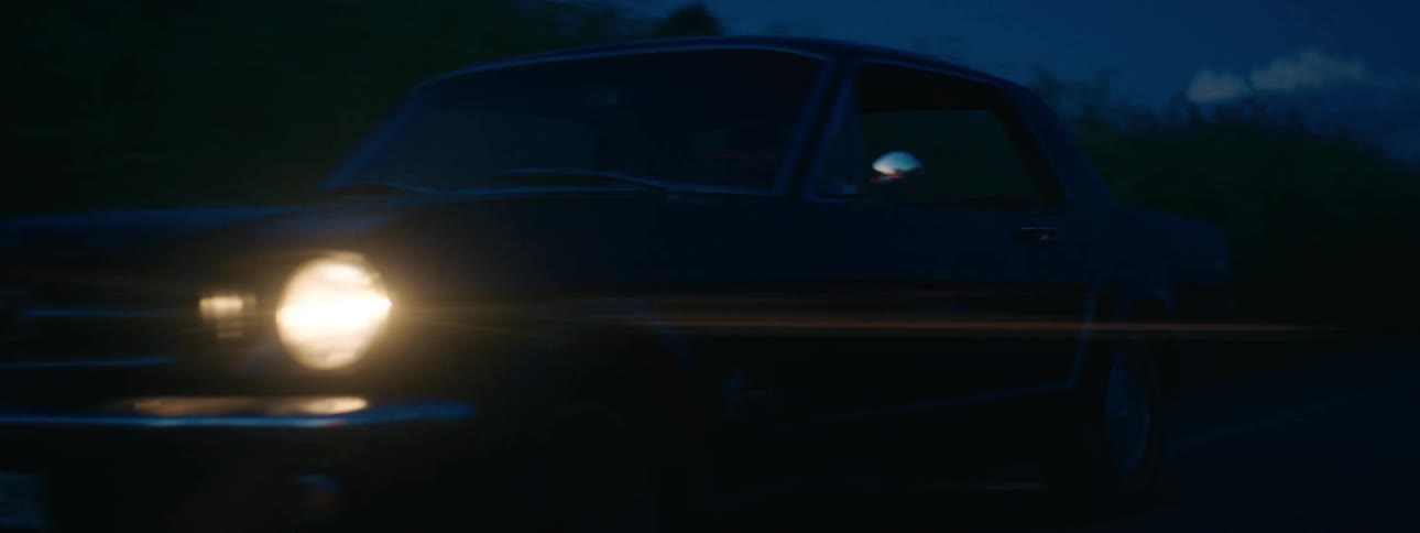A car travels down a dark road lined with tall vegetation at night