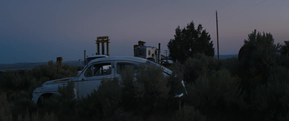 A volkswagen bug parked behind bushes in a field