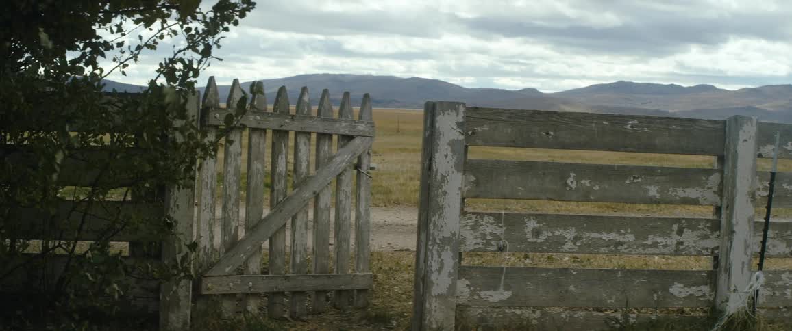 A wooden face with peeled paint on it has its gate open near a large grassy field