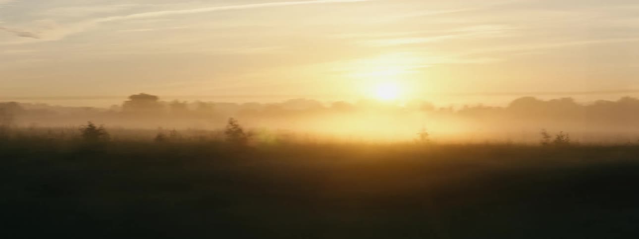 The sun is rising on the field