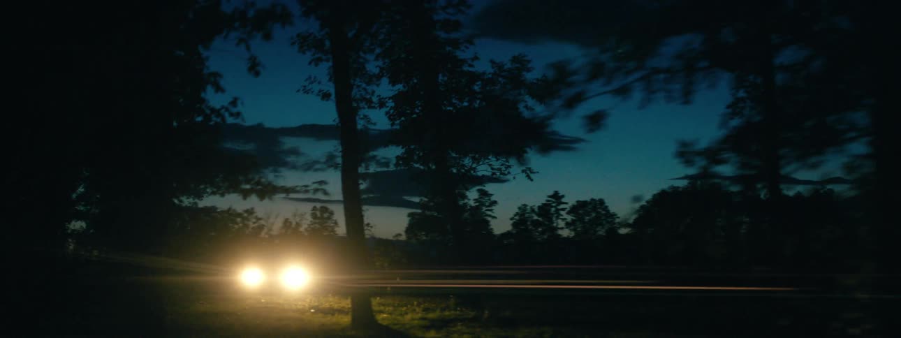 A car travels between trees in a grassland at night