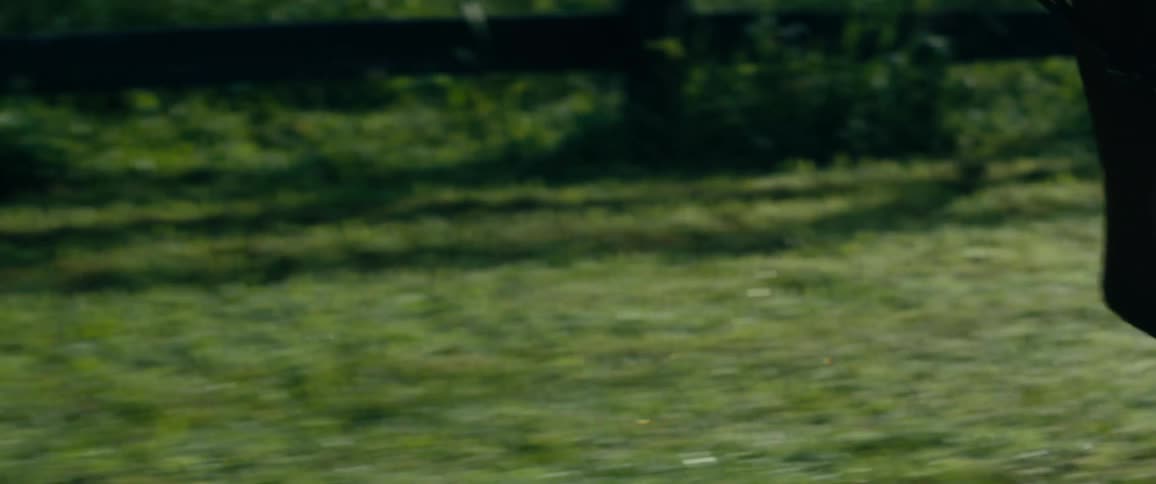 A horse is running in the green grass