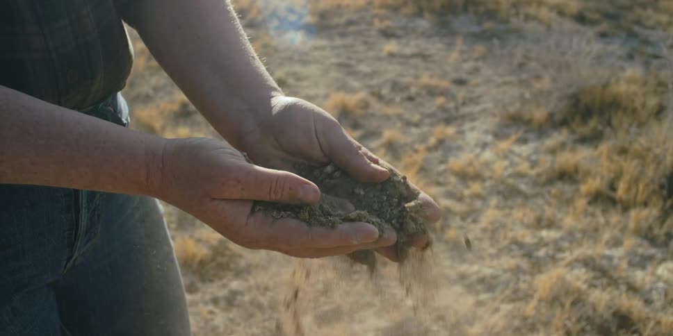 A woman crushes dirt on a farm and dumps it on the ground
