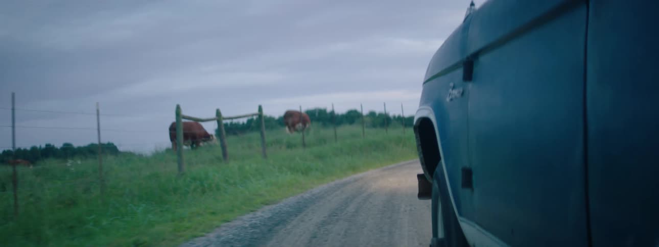 Car drives with headlights on on dirt road past fenced pasture holding cattle