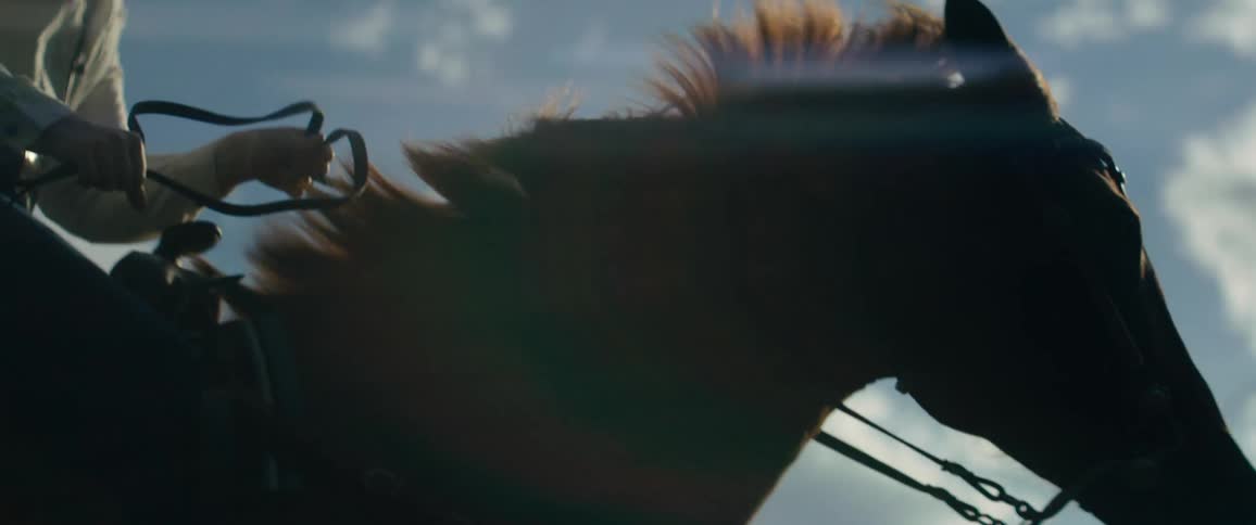A horse running outside