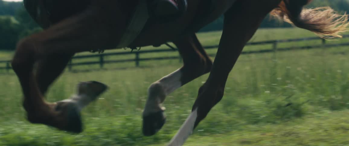 A person is racing a horse on the ranch