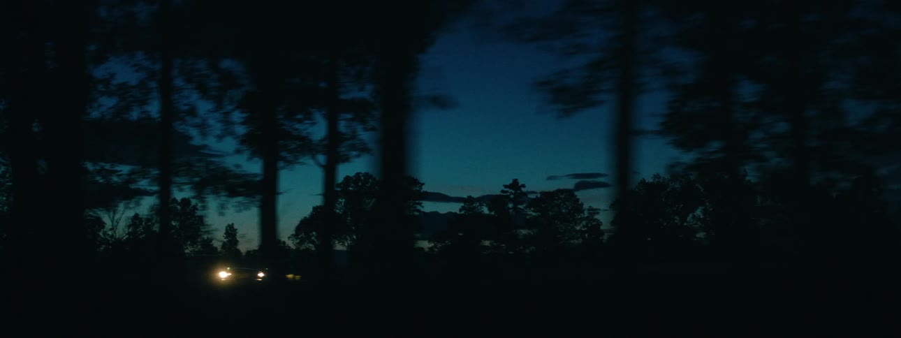 A car drives on a treelined road with its lights on in the dark