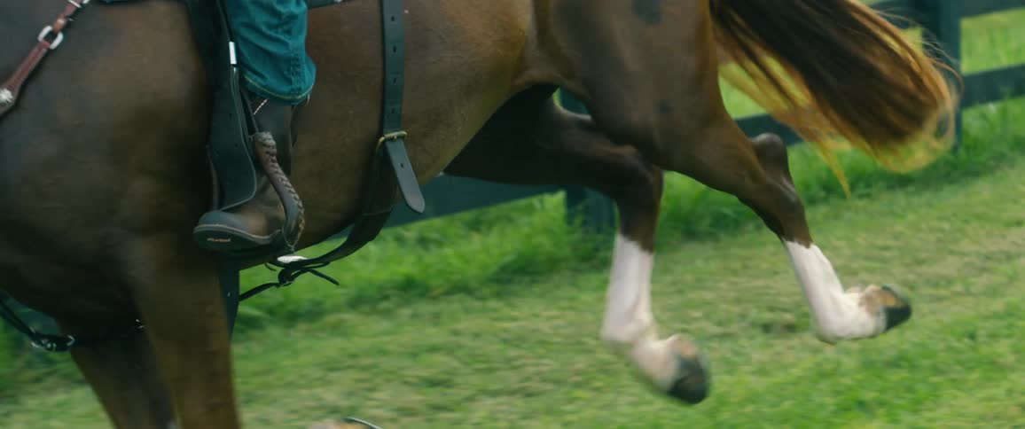 A person riding a horse on grass with a fence and trees in the background