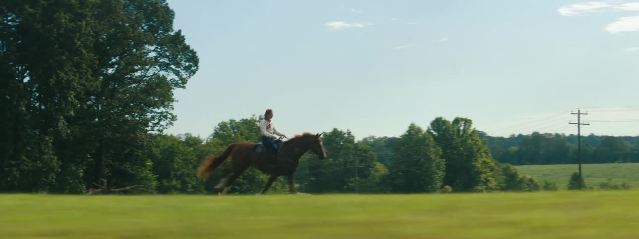 A man riding a brown galloping horse in a rural grassy field