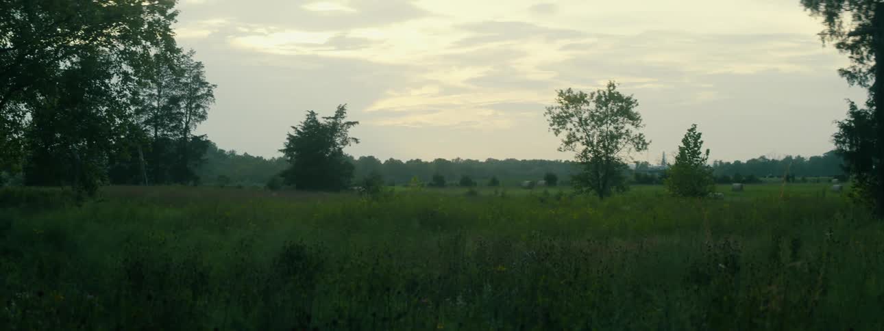 A view of a grassy field with some trees in it