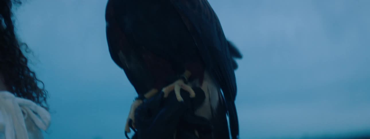 A large wild bird sits perched on a womans hand as she stands in a field
