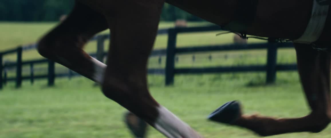 A woman rides her horse past a fenced in field