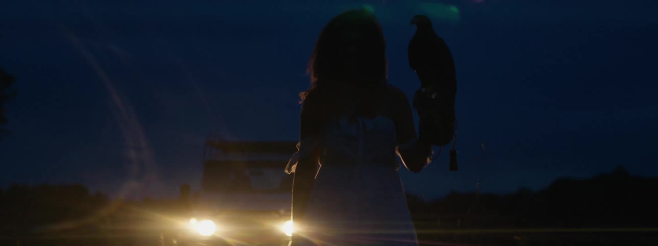 The silhouette of a woman with a bird perched on her arm is illuminated by the lights of a parked vehicle