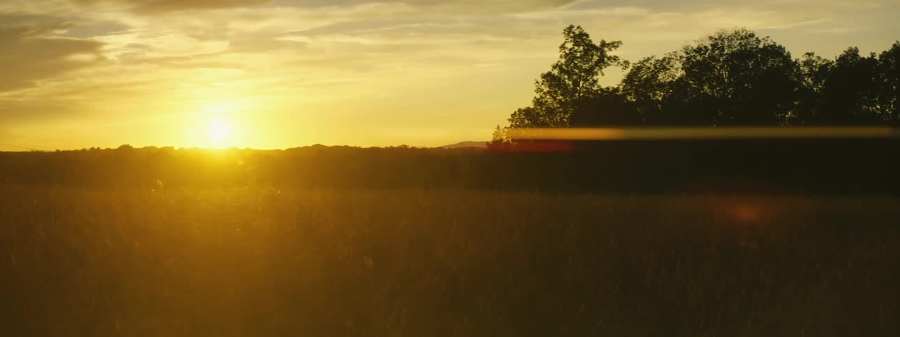 A view of the sun setting over a field