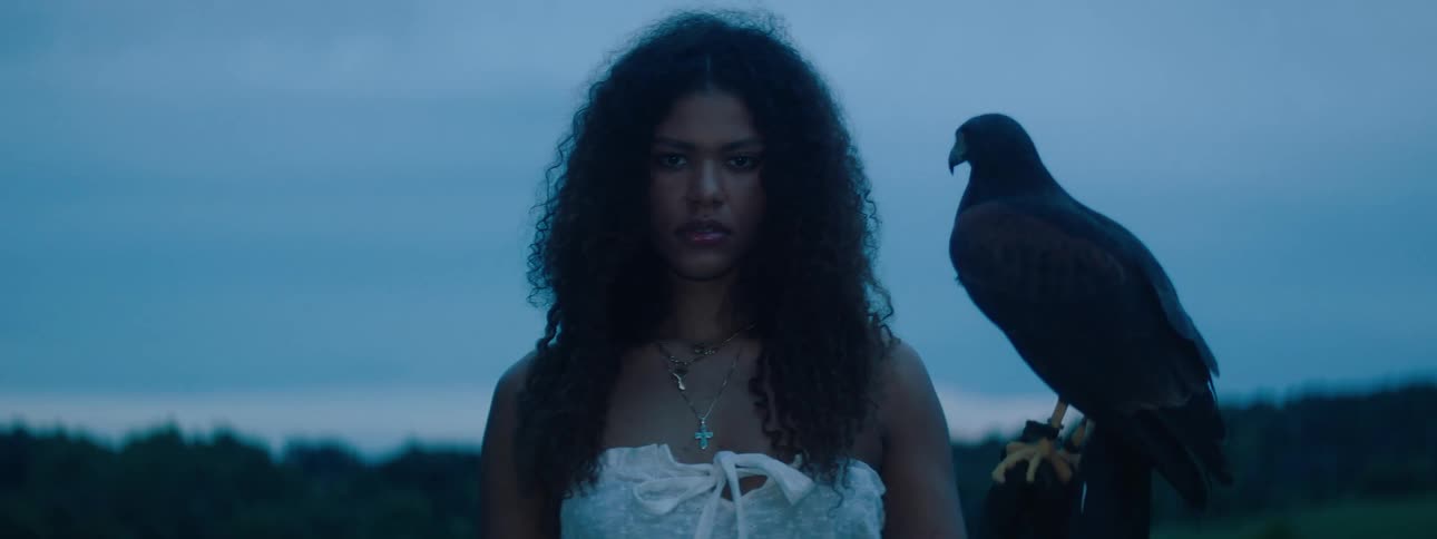 Exotic woman standing in the countryside holds a hawk on her hand while looking at the camera