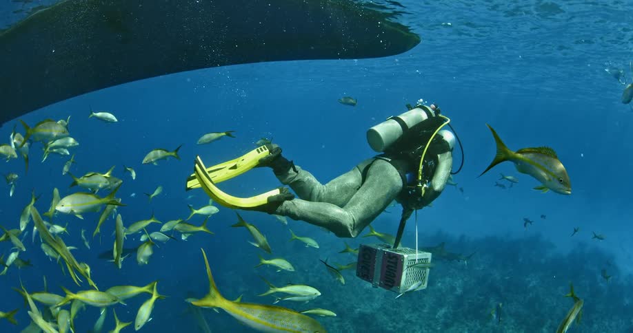 A diver is holding something as he dives in the middle of a school of fish