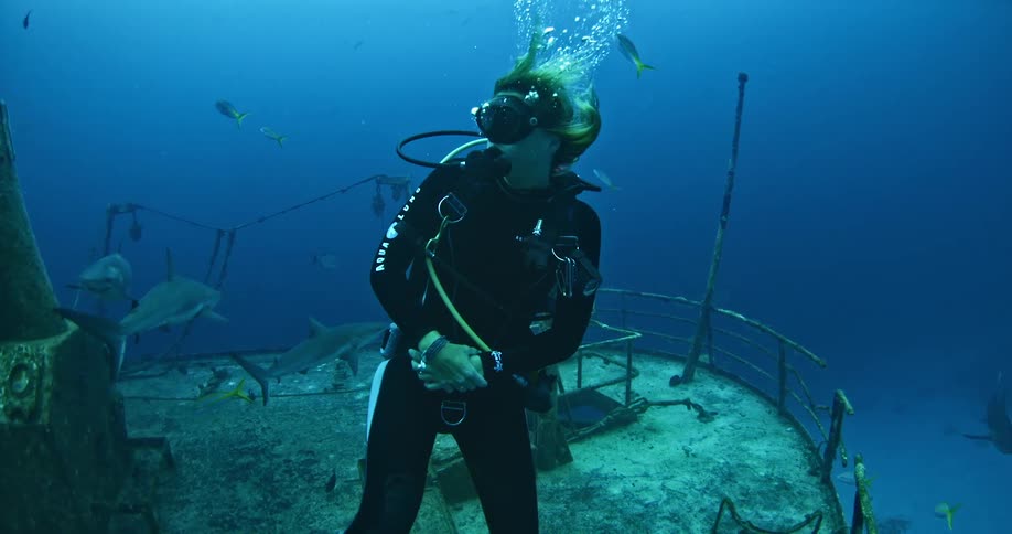 A diver swims near a sunken ship