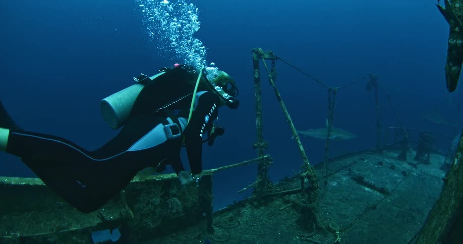 Scuba divers swim around a sunken ship