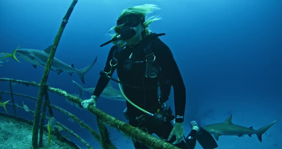 A diver swims next to a sunken ship with sharks in the background