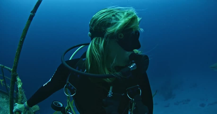 A shark swims near a diver