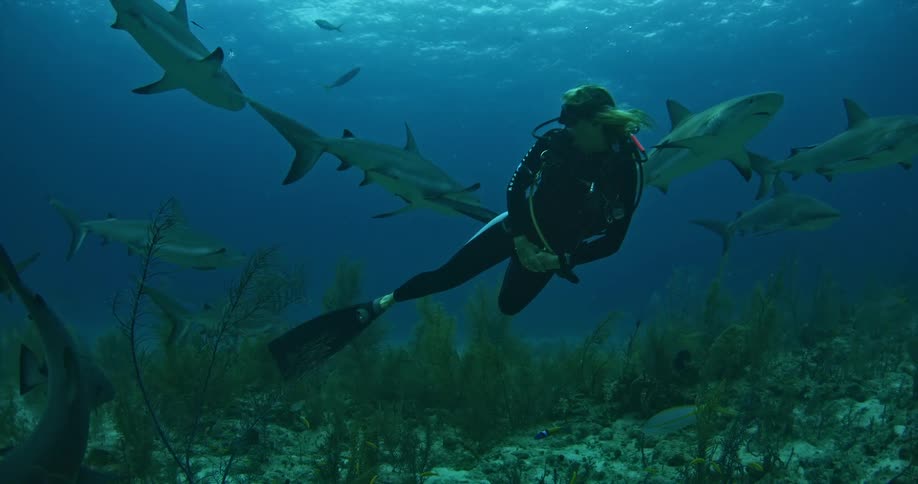 A scuba diver floats as the sharks pass in front