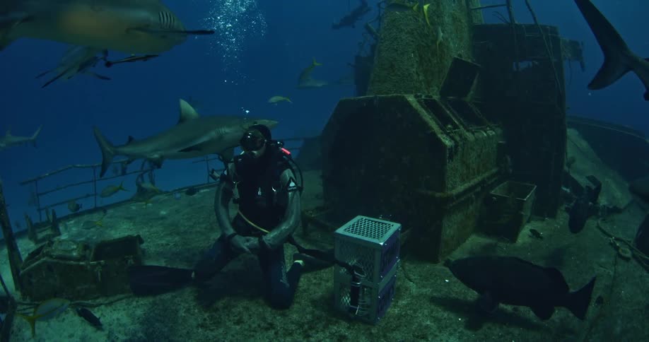 Person kneeling on a sunken ship underwater with sharks swimming around