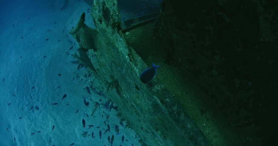 A rotating view of some structure on the bottom of the sea with many fish swimming around