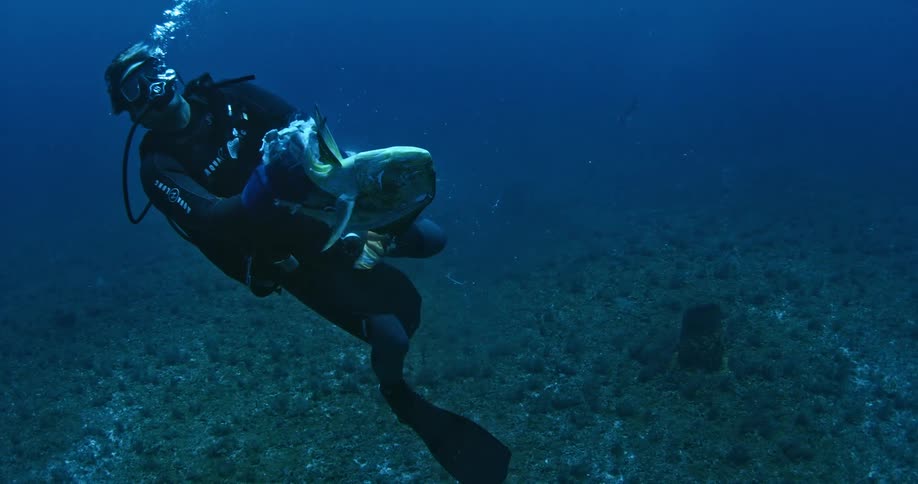Scuba diver chumming the waters