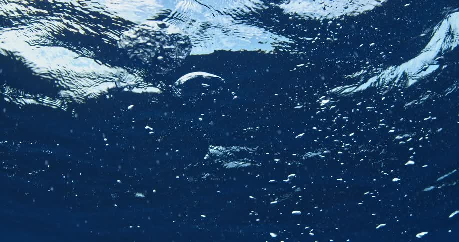 Bubbles float up and pop on the surface of the water