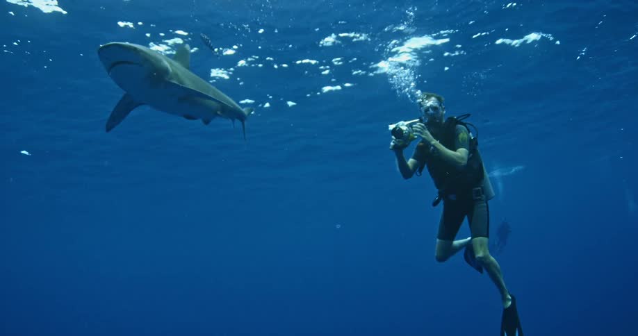 Diver filming a shark swimming just below the surface of the water