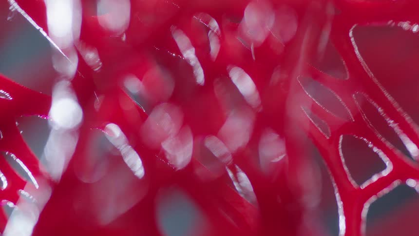 An extreme close up view of a statue