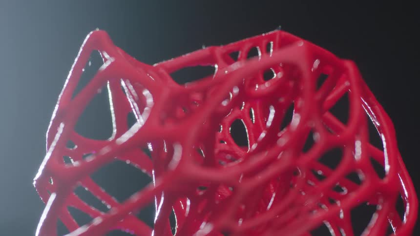 Light highlights crimson branches forming sculpture against dark background