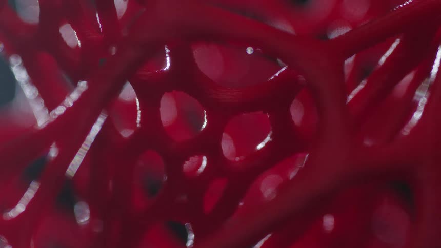 A red sculpture is made up of intertwining lines and sections filled with holes of varying sizes