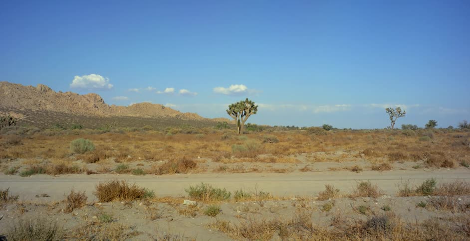 A volkswagen bus travels on a desert road