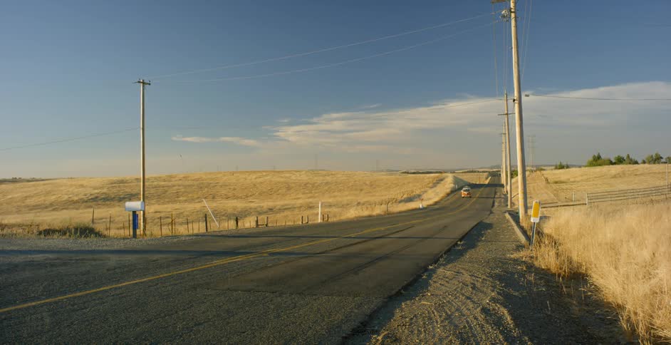 A v.w. bus is driving on a rural road on a sunny day