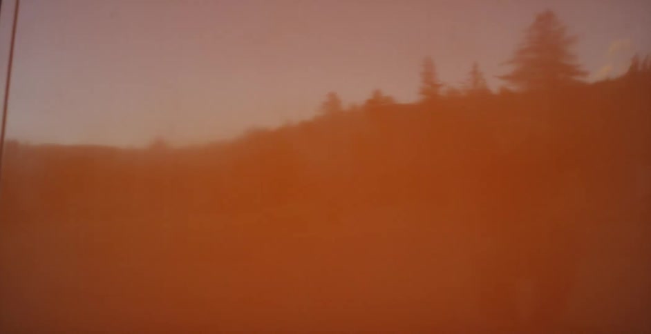 A volkswagen bus is driven in a forest