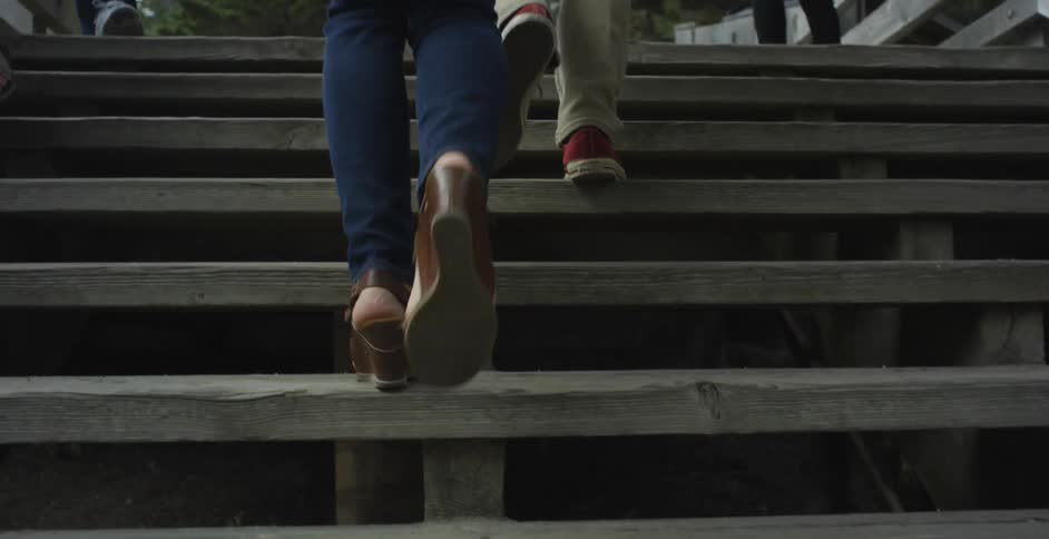 A group of friends is going up a set of stairs in a park-like setting during the day