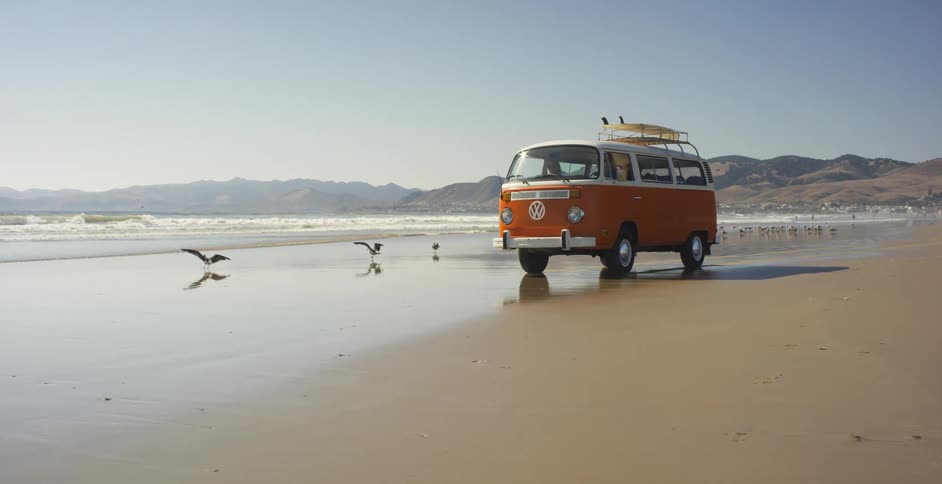 A van rides in the wet shore as birds fly by
