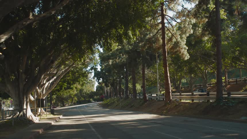 The cars drive past the empty road near the woods