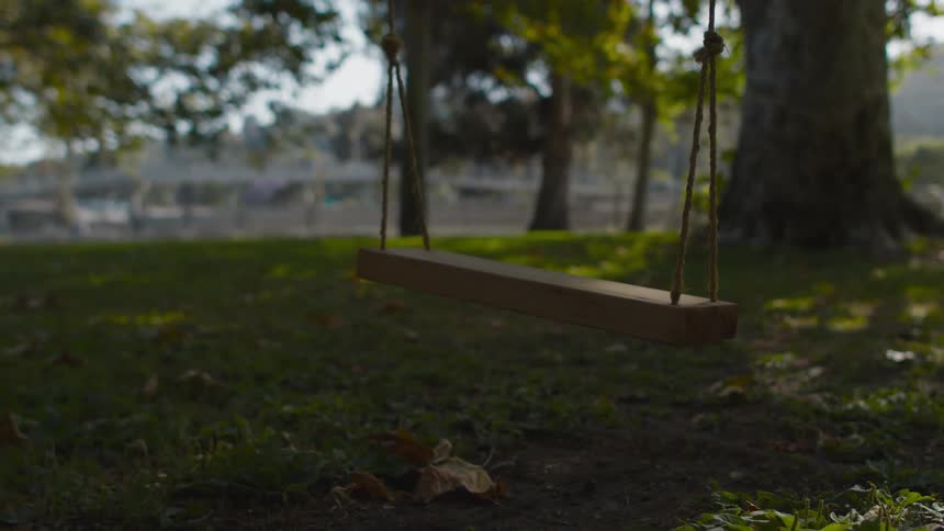 A swing set is shown by trees in spring