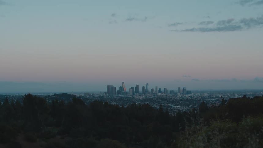 A city skyline visible over tree tops at dawn