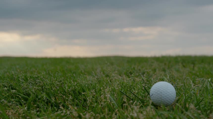White golf ball resting over the short grass on a field at sunset